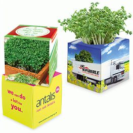 Pflanz-Würfel 2.0 mit Samen - Gartenkresse