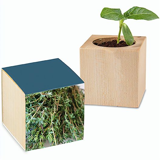 Pflanz-Holz mit Samen - Thymian (Bild 1)