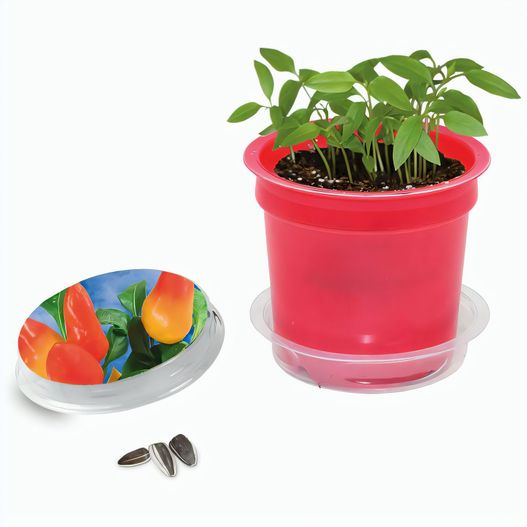 Florero-Töpfchen mit Samen - rot - Gewürzpaprika (Bild 1)