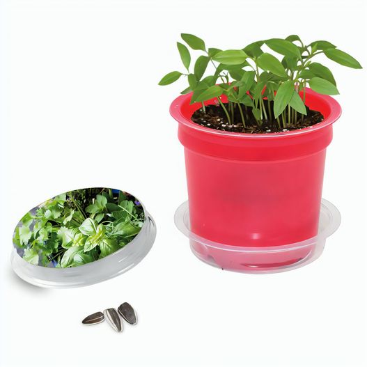 Florero-Töpfchen mit Samen - rot - Kräutermischung (Bild 1)