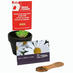Pflanz-Stick mit Samen - Margerite