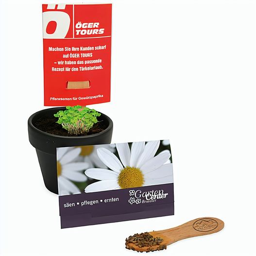 Pflanz-Stick mit Samen - Margerite (Bild 1)