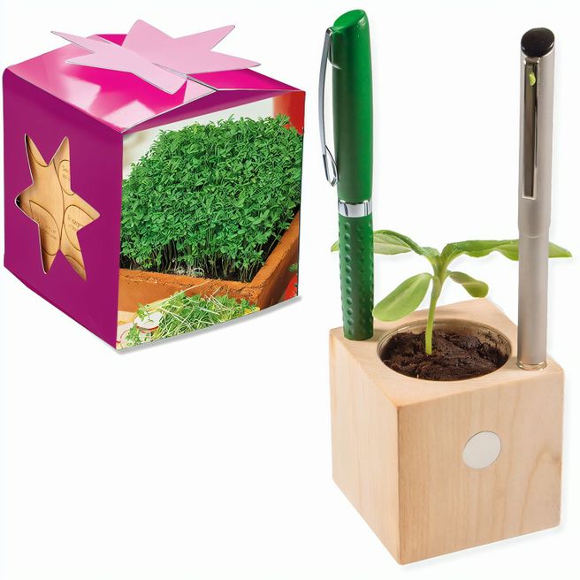 Pflanz-Holz Büro Star-Box mit Samen - Gartenkresse