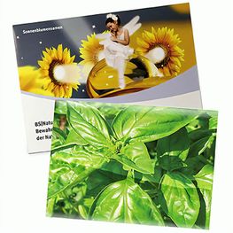 Produktabbildung Samentütchen Groß - Standardpapier - Basilikum Samentütchen Groß - Standardpapier - Basilikum
