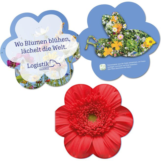 Samenpapier in Klappkärtchen Blume - Bienchen