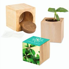 Pflanz-Holz Maxi mit Samen - Glücksklee-Zwiebel (* Je nach Verfügbarkeit der Glücksklee-Zwiebeln)