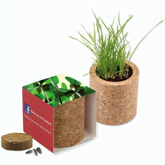 Pflanz-Kork rund mit Samen - Glücksklee-Zwiebel (* Je nach Verfügbarkeit der Glücksklee-Zwiebeln) (Bild 1)