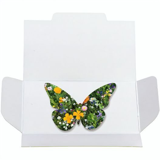 Samenpapier in Klappkärtchen - Schmetterling (Bild 1)
