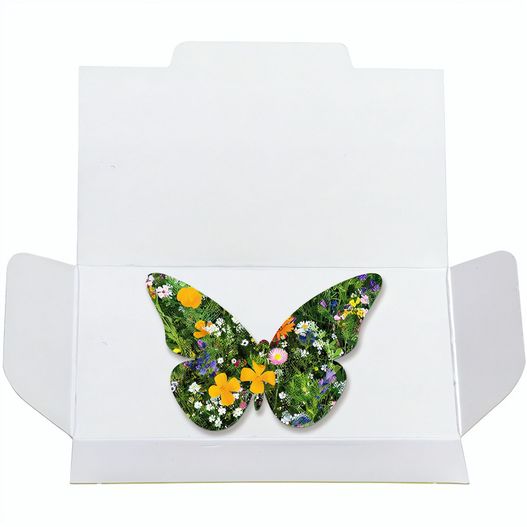 Samenpapier im Klappkärtchen - Schmetterling (Bild 1)