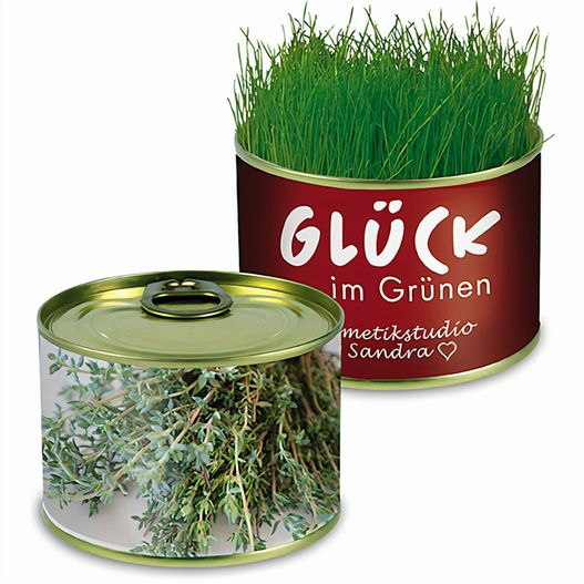 Natur-Konserve mit Samen - Thymian (Bild 1)