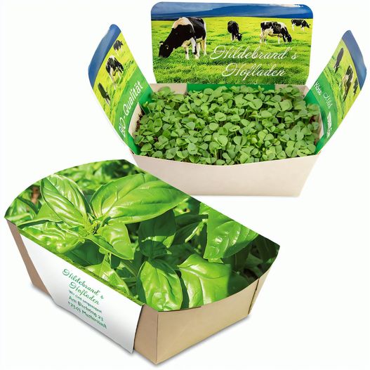 Produktabbildung Pflanzodrom mit Samen - Basilikum Pflanzodrom mit Samen - Basilikum (Bild 1)