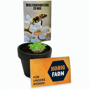 Bienenhelfer-Stick mit Samen - mit Standardgravur