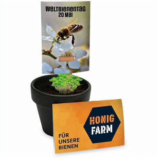 Bienenhelfer-Stick mit Samen - mit Standardgravur (Bild 1)