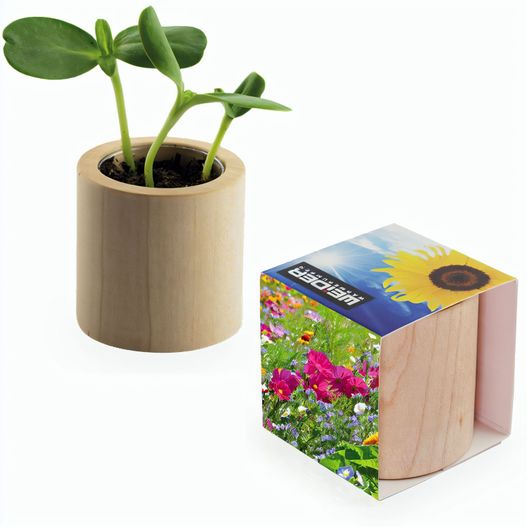 Pflanz-Holz rund mit Samen - Sommerblume, Rundum-Lasergravur (Bild 1)