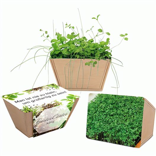 Mini-Beet mit Samen - Gartenkresse, 1 Seite gelasert (Bild 1)