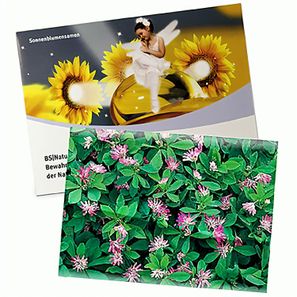 Samentütchen Groß - Standardpapier - Persischer Klee