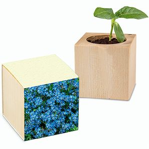 Pflanz-Holz mit Samen (Graspapier-Banderole) - Vergissmeinnicht, 1 Seite gelasert