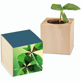 Pflanz-Holz Glücksklee - 2 Seiten gelasert  (* Je nach Verfügbarkeit der Glücksklee-Zwiebeln)