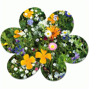 Samenpapier in Klappkärtchen Ei - Blümchen