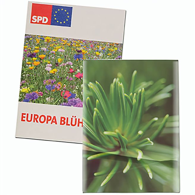 Samentütchen Mini - Recyclingpapier - Fichte