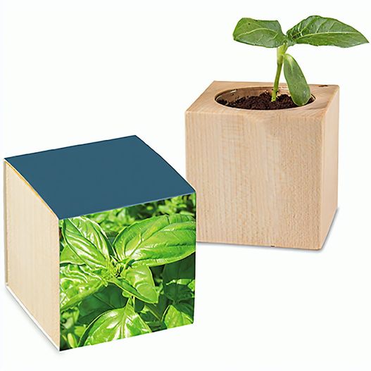 Produktabbildung Pflanz-Holz mit Samen - Basilikum, 2 Seiten gelasert Pflanz-Holz mit Samen - Basilikum, 2 Seiten gelasert (Bild 1)