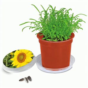 Florero-Töpfchen mit Samen - terracotta - Sonnenblume