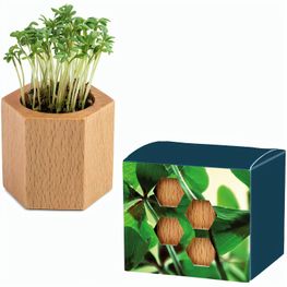 Pflanz-Holz Hexagon mit Samen - Glücksklee-Zwiebel, 1 Seite gelasert (* Je nach Verfügbarkeit der Glücksklee-Zwiebeln)