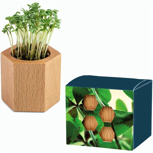 Pflanz-Holz Hexagon mit Samen - Glücksklee-Zwiebel, 1 Seite gelasert (* Je nach Verfügbarkeit der Glücksklee-Zwiebeln) (Bild 1)