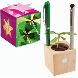 Pflanz-Holz Büro Star-Box mit Samen - Glücksklee-Zwiebel, 1 Seite gelasert (* Je nach Verfügbarkeit der Glücksklee-Zwiebeln)