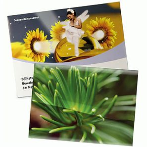 Samentütchen Groß - Standardpapier - Fichte