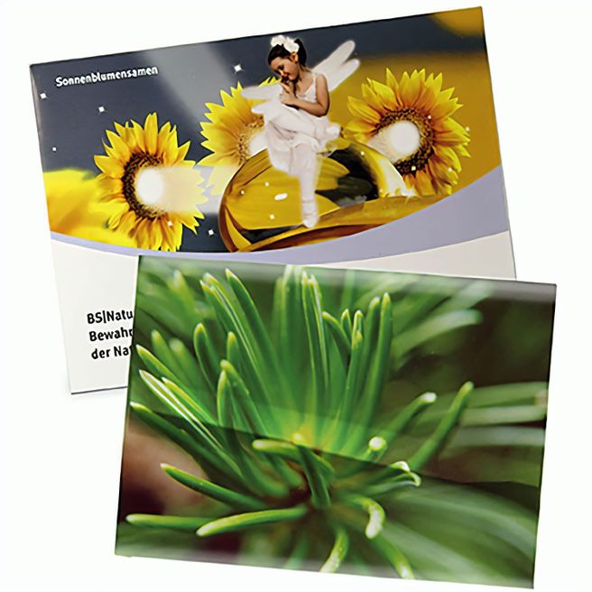 Produktabbildung Samentütchen Groß - Standardpapier - Fichte Samentütchen Groß - Standardpapier - Fichte