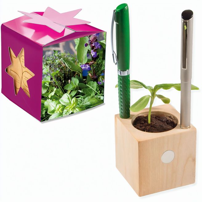 Pflanz-Holz Büro Star-Box mit Samen - Kräutermischung, 1 Seite gelasert