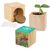 Pflanz-Holz Maxi mit Samen - Sommerblumenmischung, 2 Seiten gelasert (Bild 1)