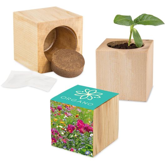 eine pflanze in einer holzkiste neben einem gewebe Pflanz-Holz Maxi mit Samen - Sommerblumenmischung, 2 Seiten gelasert (Bild 1)