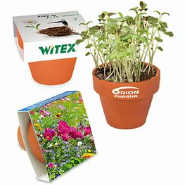 Logo-Töpfchen Banderole mit Samen - Sommerblumenmischung