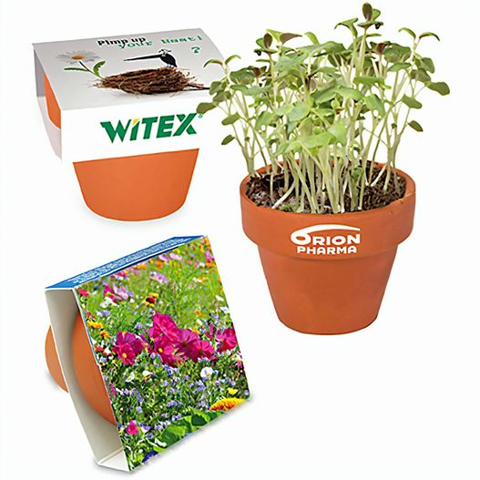 Logo-Töpfchen Banderole mit Samen - Sommerblumenmischung (Bild 1)