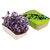 Microgreens-Gärtchen - Radies Sango (Bild 3)