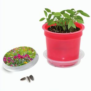 Florero-Töpfchen mit Samen - rot - Sommerblumenmischung