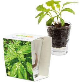 Produktabbildung Caffeino-Glas mit Samen - Basilikum Caffeino-Glas mit Samen - Basilikum