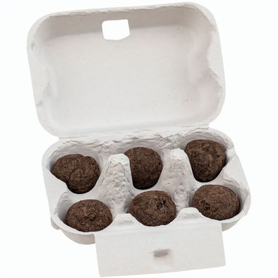 Sixpack - Flower-Balls Midi mit Samen mit Samen