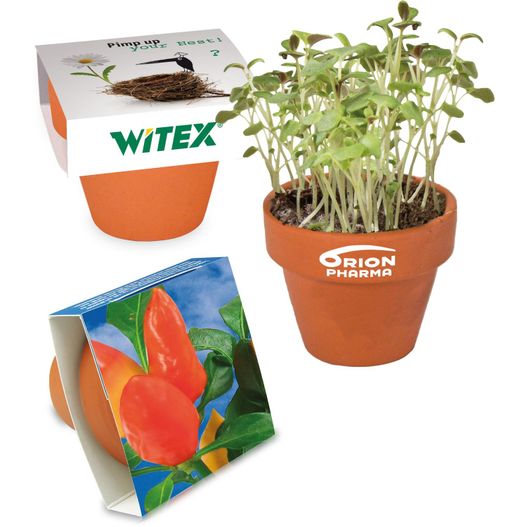 einen pflanzenpflanzer mit einer samendose und einem saatgut-kit Logo-Töpfchen Banderole mit Samen - Gewürzpaprika (Bild 1)