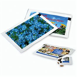 Samen-Briefchen - Vergissmeinnicht