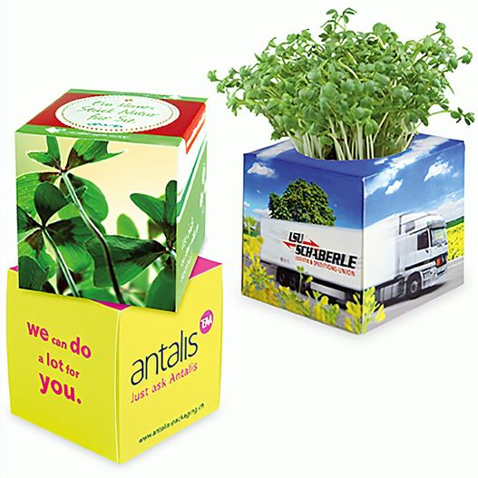 Pflanz-Würfel 2.0 mit Samen - Weihnachten - Glücksklee-Zwiebeln (* Je nach Verfügbarkeit der Glücksklee-Zwiebeln) (Bild 1)