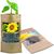Grünes aus der Tüte mit Samen - Sonnenblume (Bild 3)