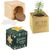 Pflanz-Holz Star-Box Xmas mit Fichtensamen - Fichte, 2 Seiten gelasert (Bild 4)