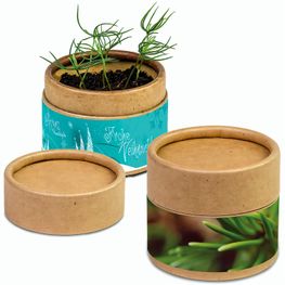 Pflanz-Cup mit Samen - Fichte