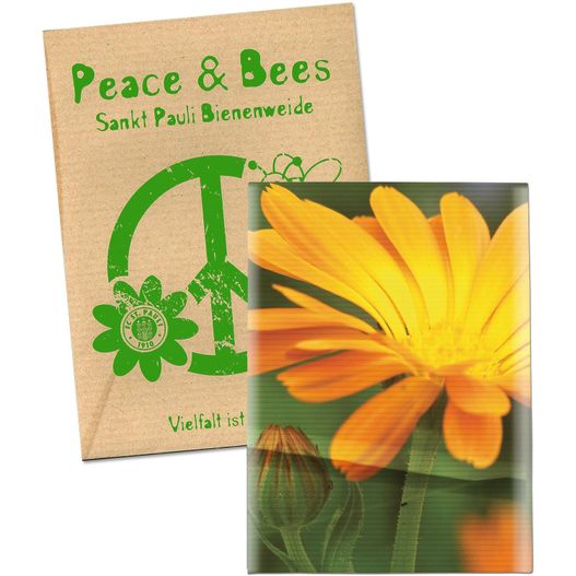 ein buch mit einem bild von einer blume und einem friedenszeichen Samentütchen Klein - Natronkraftpapier - Ringelblume (Bild 1)