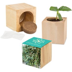 Pflanz-Holz Maxi mit Samen - Thymian, 1 Seite gelasert