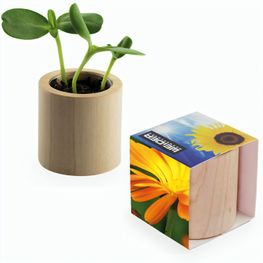 Pflanz-Holz rund mit Samen - Ringelblume