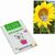 Samen-Karte-Mini Blume - Sonnenblume (Bild 1)